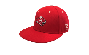 LIONS 10th Anniversary HOME SNAP-BACK CAP  by PACER
